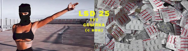 PSILOCYBIN Осташков