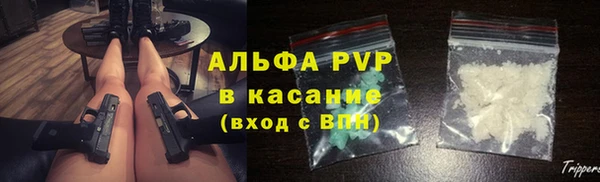 PSILOCYBIN Осинники