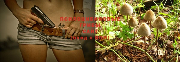 PSILOCYBIN Осинники