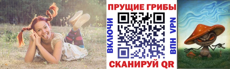 купить наркотики цена  Сальск  Галлюциногенные грибы ЛСД 